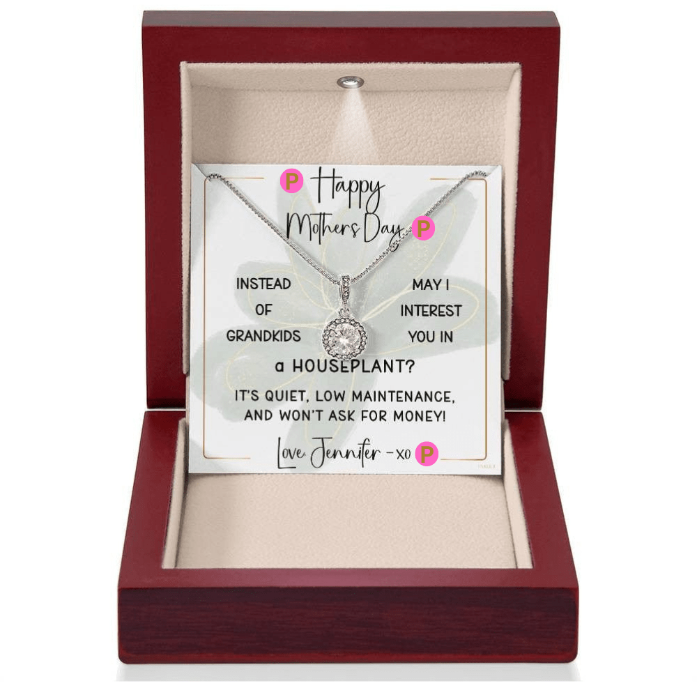 INSTEAD OF GRANDKIDS - HOUSEPLANT | Timeless Necklace with PERSONALIZABLE MESSAGE | Mother's Day - Birthday Gift