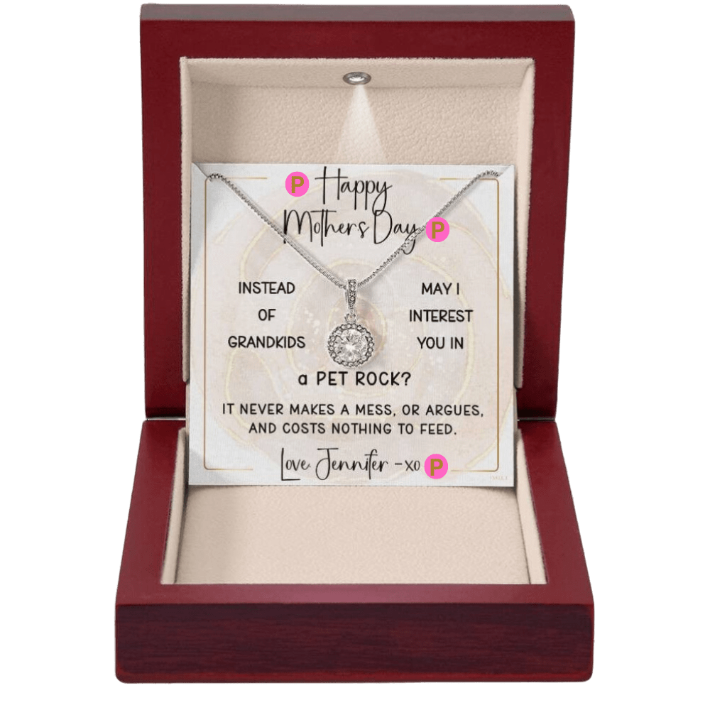 INSTEAD OF GRANDKIDS - PET ROCK | Timeless Necklace with PERSONALIZABLE MESSAGE | Mother's Day - Birthday Gift